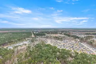 1036 Bald Cypress Dr, Moncks Corner, SC 29461 - Photo 38