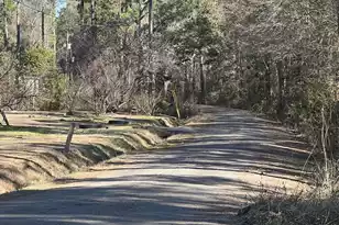 0 Mims Ln, Georgetown, SC 29440 - Photo 1