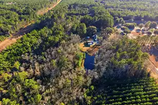 1613 Cavanaugh Rd, Walterboro, SC 29488 - Photo 34