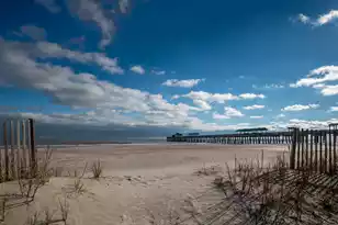 115 Arctic Ave E, Folly Beach, SC 29439 - Photo 40