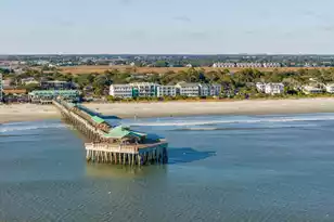 115 Arctic Ave E, Folly Beach, SC 29439 - Photo 48