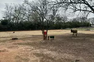 6995 Arthur Gayle Rd, Wedgefield, SC 29168 - Photo 36