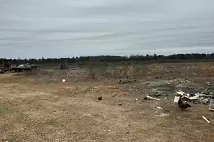 6995 Arthur Gayle Rd, Wedgefield, SC 29168 - Photo 58