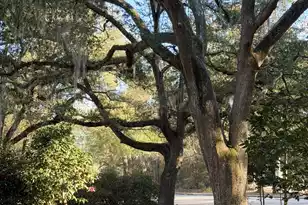 1217 Wichman St, Walterboro, SC 29488 - Photo 34