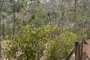 00 Turner Ln, Round O, SC 29474 - Photo 14