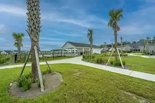 226 Firewheel Ct, Summerville, SC 29486 - Photo 56