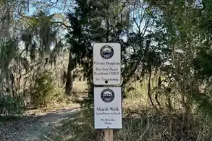 312 Bayview Drive, Mount Pleasant, SC 29464 - Photo 56