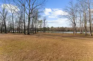 146 Loganberry Cir, Goose Creek, SC 29445 - Photo 82