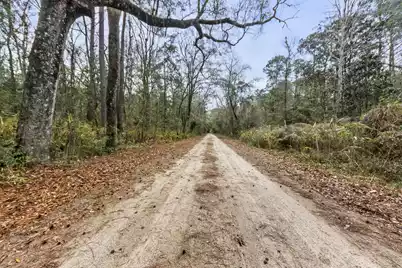 8874 Old Georgetown Road, McClellanville, SC 29458 - Photo 4