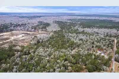 8874 Old Georgetown Road, McClellanville, SC 29458 - Photo 6