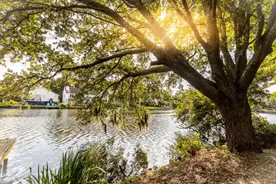 713 Lake Frances Drive, Charleston, SC 29412 - Photo 1