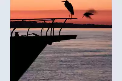 67 10th Street W #E-3, Folly Beach, SC 29439 - Photo 6