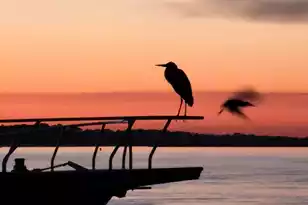 67 10th Street W, Folly Beach, SC 29439 - Photo 6