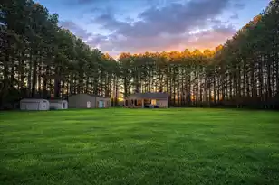 7050 Old State Rd, Holly Hill, SC 29059 - Photo 14