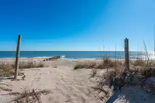 718 Palmetto Blvd, Edisto Island, SC 29438 - Photo 60