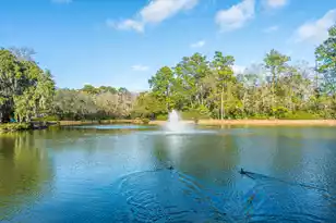 1365 Pinnacle Ln, Charleston, SC 29412 - Photo 26