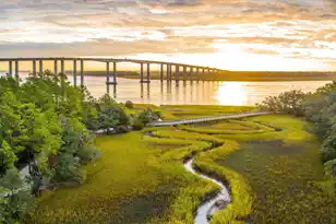 140 Etta Wy, Charleston, SC 29492 - Photo 18