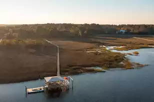 1406 Marshwind Island Rd, Awendaw, SC 29429 - Photo 38