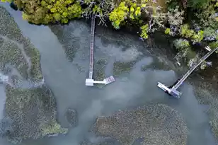 8374 Chisolm Plantation Rd, Edisto Island, SC 29438 - Photo 70