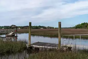 8374 Chisolm Plantation Rd, Edisto Island, SC 29438 - Photo 52