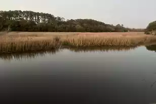 8374 Chisolm Plantation Rd, Edisto Island, SC 29438 - Photo 48