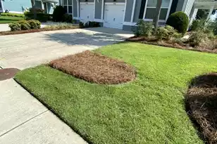 1466 Red Tide Rd, Mount Pleasant, SC 29466 - Photo 32