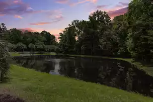 136 Heart Pine Cir, Summerville, SC 29485 - Photo 50