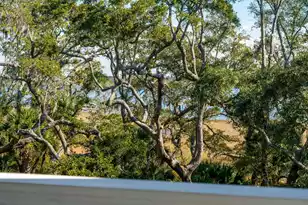 118 Fairbanks Oak Alley, Charleston, SC 29492 - Photo 24