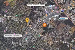 121 Sabal Ct, Summerville, SC 29483 - Photo 72