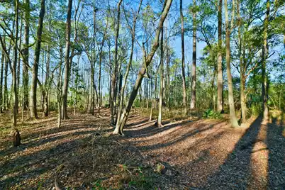 107 Auto Supply Drive, Goose Creek, SC 29445 - Photo 20