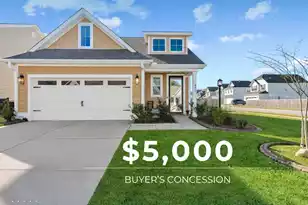 677 Black Pine Rd, Moncks Corner, SC 29461 - Photo 1