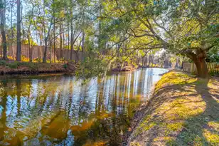 2079 Emerald Terrace, Mount Pleasant, SC 29464 - Photo 38
