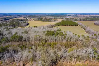 0 Altvater Road, Elloree, SC 29047 - Photo 8