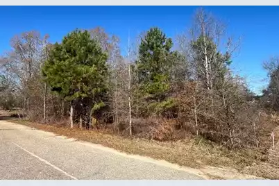 0 Tennis Lane, Summerton, SC 29148 - Photo 2