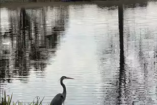 1422 Hooper St, Charleston, SC 29492 - Photo 44