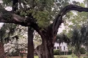 1422 Hooper St, Charleston, SC 29492 - Photo 46