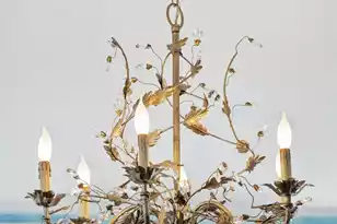 79 Church St, Charleston, SC 29401 - Photo 28