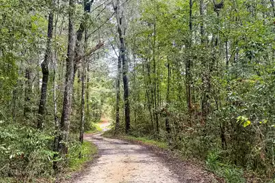 138 Twisted Oak Trail, Elloree, SC 29047 - Photo 94