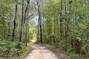 138 Twisted Oak Trail, Elloree, SC 29047 - Photo 94
