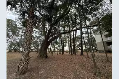 700 Daniel Ellis Drive #7208, Charleston, SC 29412 - Photo 18