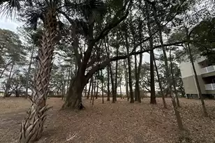 700 Daniel Ellis Dr, Charleston, SC 29412 - Photo 18