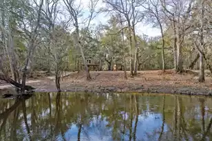 519 Meeting House Ln, Cottageville, SC 29435 - Photo 1