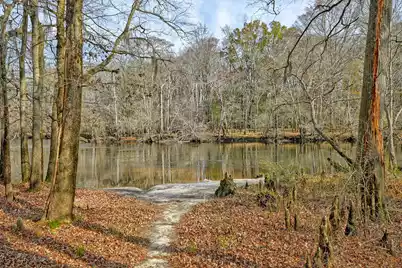 519 Meeting House Lane, Cottageville, SC 29435 - Photo 6