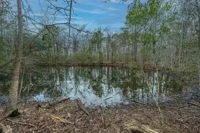 00 Elliott Estates Road, Hollywood, SC 29449 - Photo 16