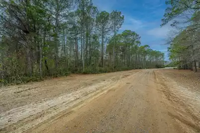 00 Elliott Estates Road, Hollywood, SC 29449 - Photo 22