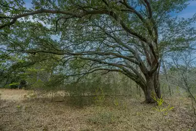 00 Elliott Estates Road, Hollywood, SC 29449 - Photo 18
