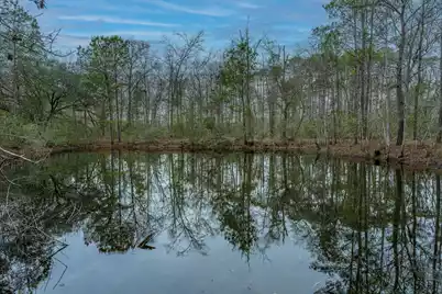 00 Elliott Estates Road, Hollywood, SC 29449 - Photo 14