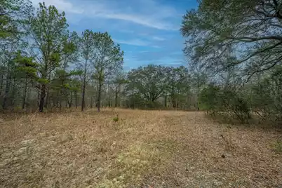 5553 Elliott Estates Road, Hollywood, SC 29449 - Photo 26