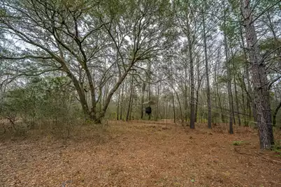 5553 Elliott Estates Road, Hollywood, SC 29449 - Photo 22