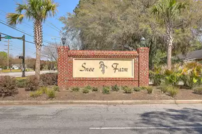 1126 Snap Dragon Court, Mount Pleasant, SC 29464 - Photo 40